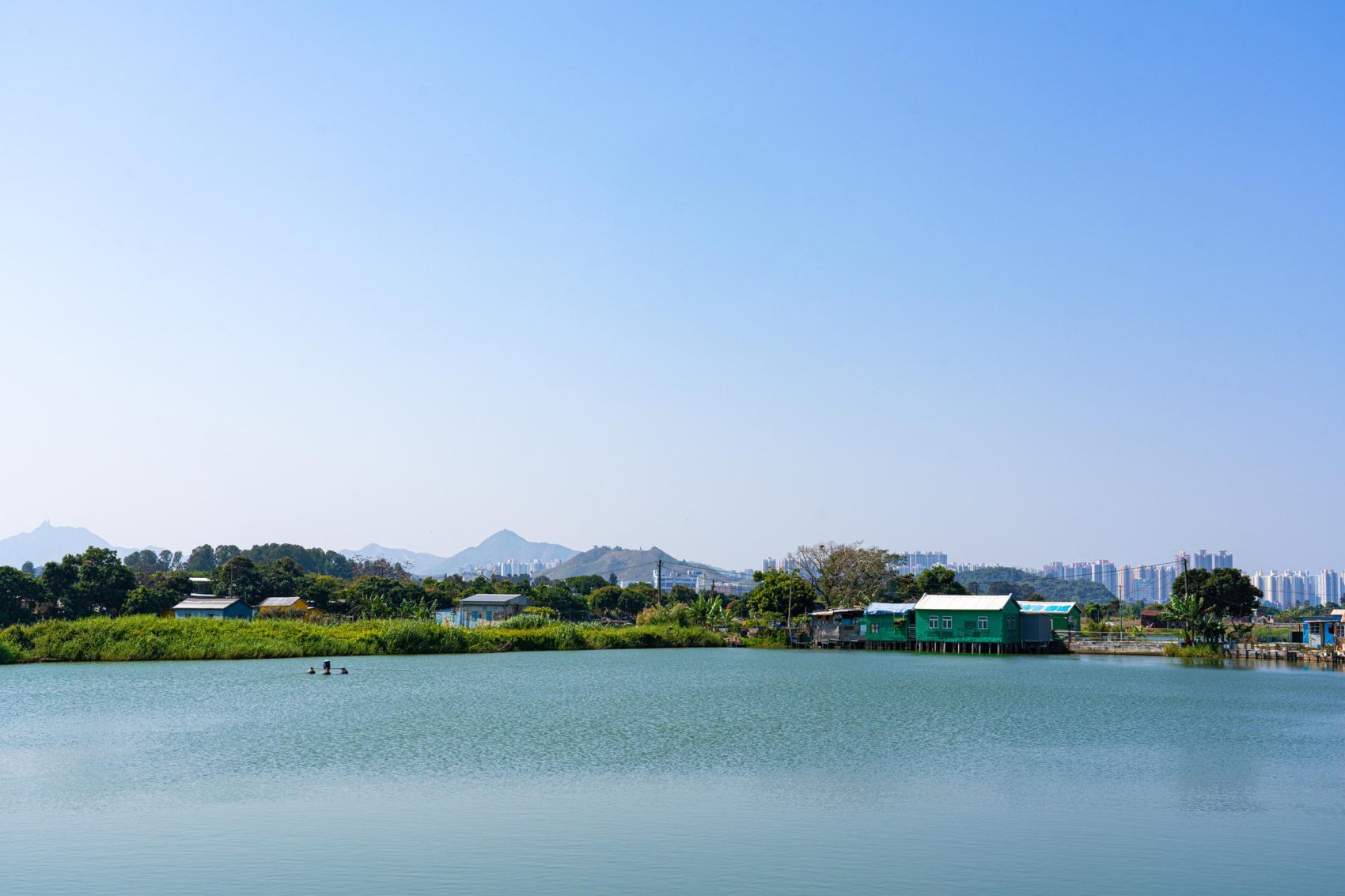 Large fishing pond in Nam Sang Wai 